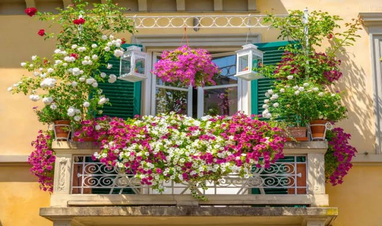 ALANYA DA EN GÜZEL BALKON SEÇİLECEK