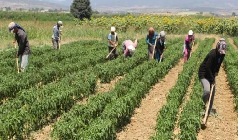 TARIM BAKANLIĞI O ÜRÜNÜ YASAKLADI