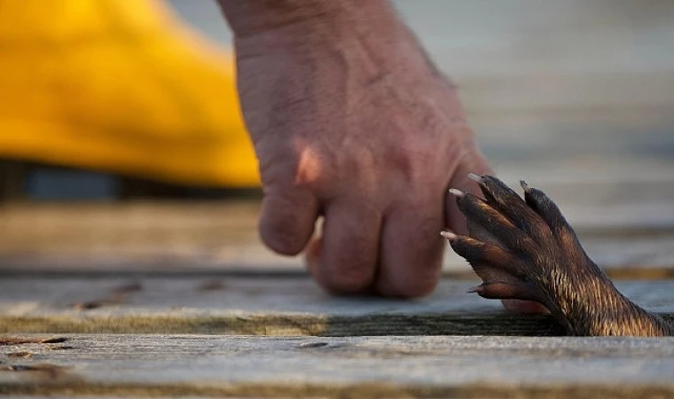 Bambaşka Bir Sevginin Hikayesi’ 26 Mayıs Pazar 21.00’de National Geographic Ekranlarında