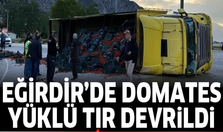 DOMATES YÜKLÛ TIR DEVRİLDİ