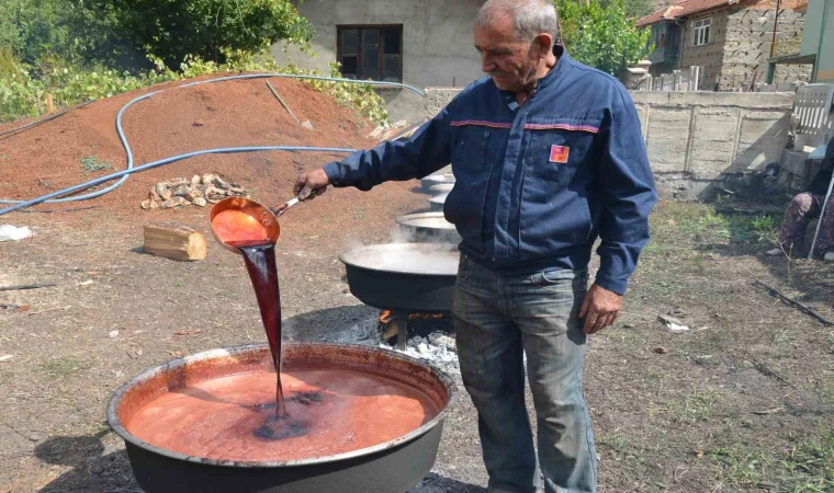 Antalya’da her derde deva andız pekmez