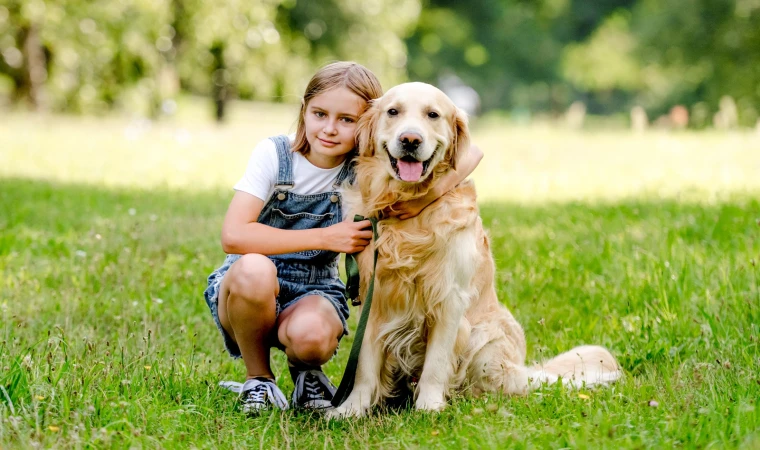 Evde Kedi - Köpek Kavgasına Son Vermek Mümkün Mü?