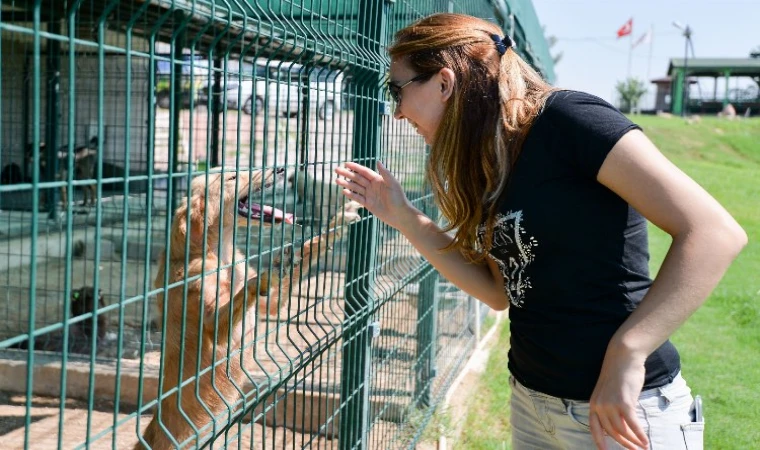 Antalya Muratpaşa’da ’ötenazi’ye karşı!