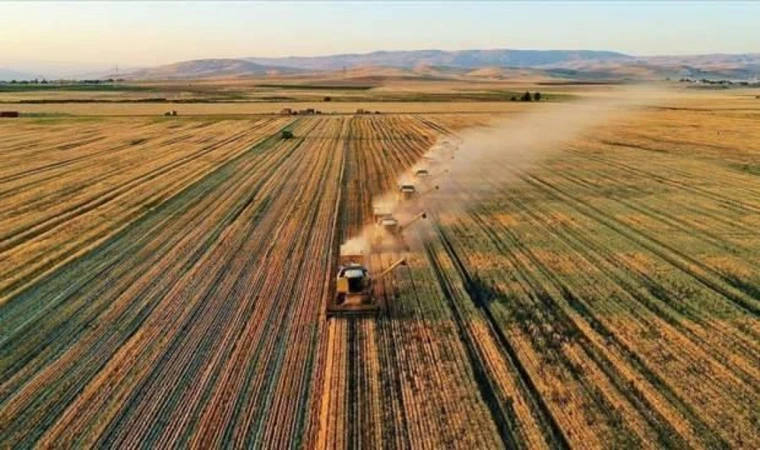 Destekleme ödemeleri çiftçilerin hesabına aktarıldı