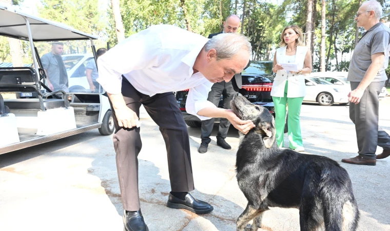 ‘Köpek Yakıldı’ İddialarına Başkan Kocagöz Son Noktayı Koydu