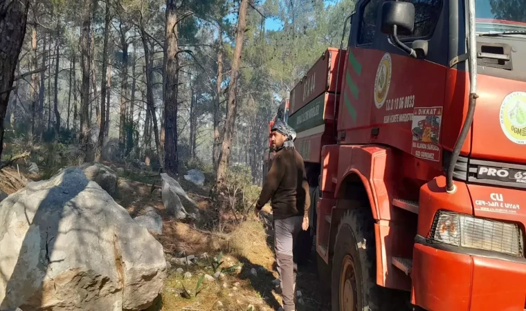 Kopan yüksek gerilim hattı orman yangınına neden oldu