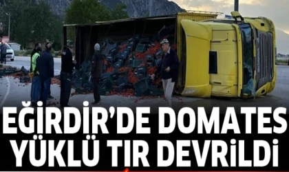 DOMATES YÜKLÛ TIR DEVRİLDİ