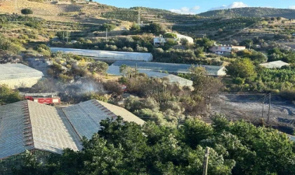 Alanya’da avokado bahçesinde yangın: 60 ağaç kül oldu